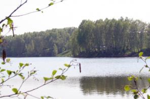 ��������� ������� � ����������� �� 8 �� 22 �����