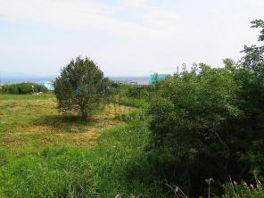 ������ ������� 60�. ��� � ���� (����������� - ������)