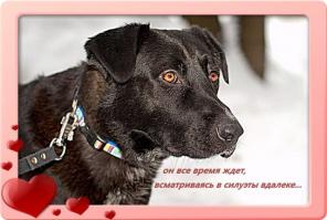 �������� ������� �����...