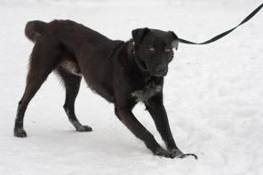 �������� ������� �����...