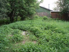 ������ ������� 11,5 ����� � ��������� ���