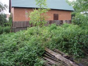 ������ ������� 11,5 ����� � ��������� ���