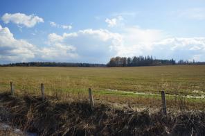 ��������� ����. �. �������