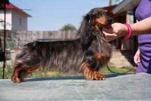 ������ ����� ��� �����. �����. ������