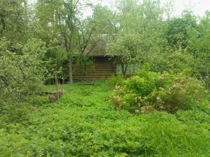 ������ ��������� ������� 17 �����, 5 �� �� ����