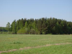 ����� ��� ������������.