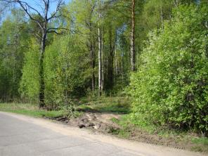 ����� ��� ������������.