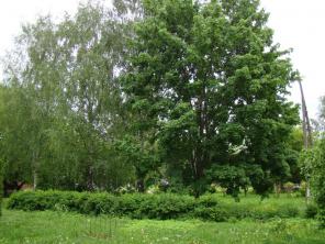 Для овцефермы, свинофермы, питомника, базы отдыха.