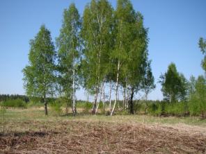 Для овцефермы, свинофермы, питомника, базы отдыха.