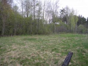 ��������� ��������� ������� (���) 12 ���.