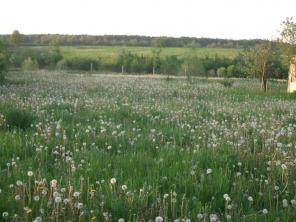 ��������� ������� 20 ����� � �. ��������