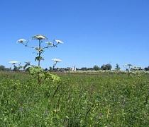 ������ ��������� ������� 10 ����� � �. ������� � 75 �� �� ���� �� �������������� �����, �������� �����