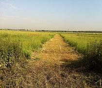 ��o�� ���c��� 9 �o��� � �.������� ������ ,62 �� �� ���� �� ������o��������� ���c�, � ��������c��� ���o��