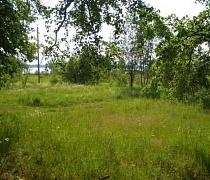 ������ ��������� ������� 10 ����� � ������� ������������ ��������� � 90 �� �� ���� �� �������� �����