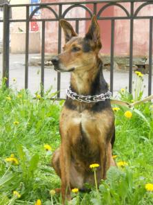 ����� �������� ������ ����