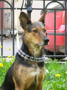 ����� �������� ������ ����