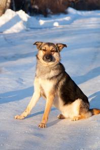 ��������� ������ ��� ��� ���� � ������ � ���