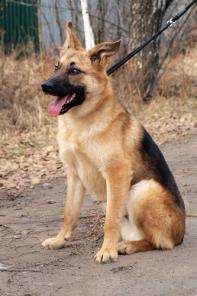 ������������ ������� � ���, ����� �������