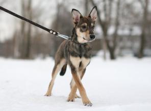 � ��� ����� ������� ����