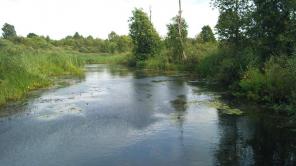 ���������- 3,45�� ����� ��������� �� �����������!