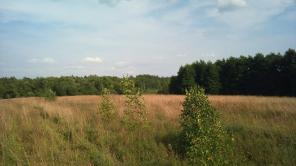 ���������- 3,45�� ����� ��������� �� �����������!