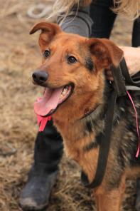 ����� ����-����� - �� ������� �� ������ ����� �������!