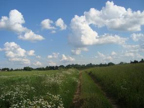 ������� 11 ����� �������� ����� 100 �� �� ����