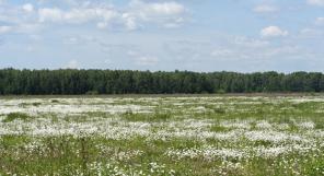 27 ����� ��������������� ����� 140 �� �� ����