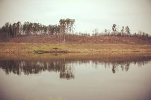 ��������� ��������� ������� 11 ����� � �. ���������