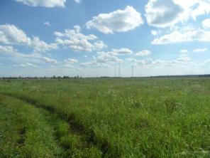 ������ ������� 175 �����