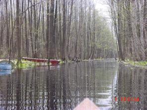 100 ����� ��� ������ �������