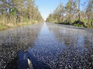 100 ����� ��� ������ �������