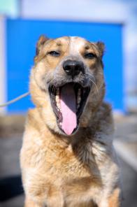 ����. ϸ� � ������� ����! (���)