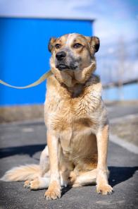 ����. ϸ� � ������� ����! (���)