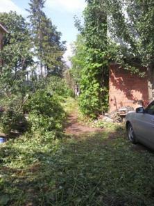 � ������� �������� �� ������ ����� �������