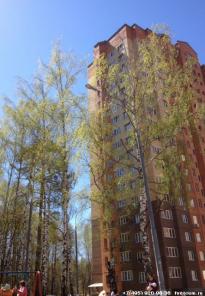 Аренда 1-но комн. квартиры, 43 кв.м, г. Королев