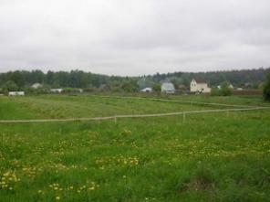 ������� 25 �����  ��������� �����