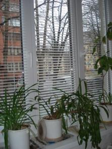 Сдается 2 комнатная квартира в Лобне