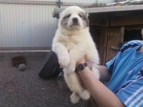 ����������  ����������