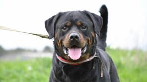 ��������� ���� � ������ ����.