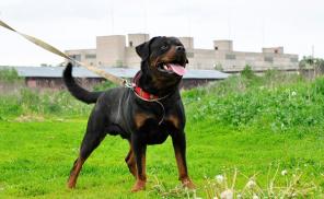 ��������� ���� � ������ ����.