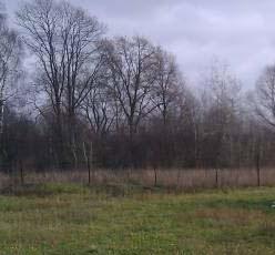 ������� 11 ���. ���� ��� ��������� �. 55�� �� ����