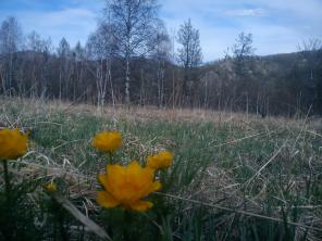 13 �� �� ����� �� ������ �����