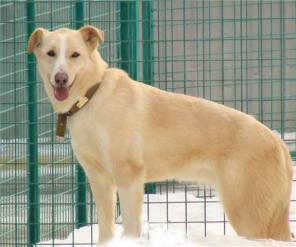 ������ ��������� ����� - ������ � ������ ����