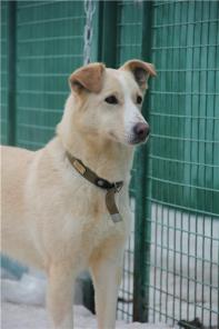 ������ ��������� ����� - ������ � ������ ����