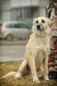 �����. ������ ������ � ������� ����! (���)