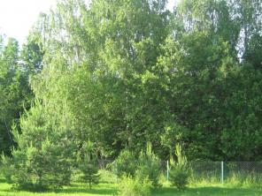 ���������� �������� � �������� ������