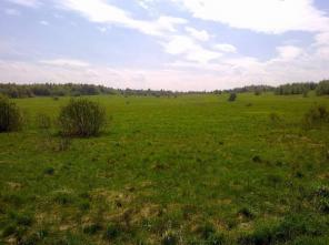 ������ ����� � �. �������� 20 ��� ����������� ���.