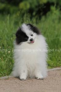 ������������ ����� ��������� ������� ������� ������������� ������