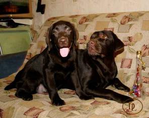 ��������  ����� � ������ � ���������� ���������